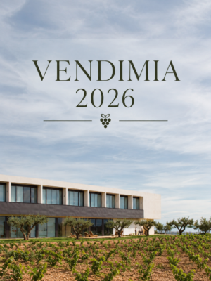 Vendimia 2026