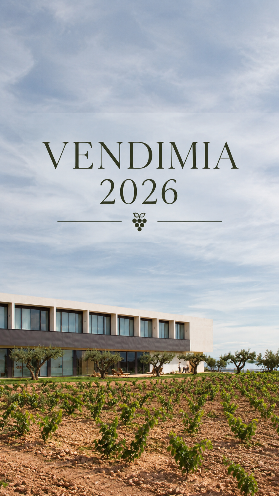 Vendimia 2026